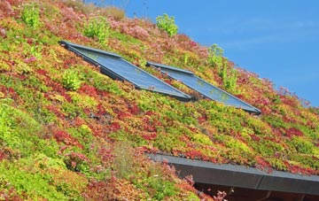 Gods Blessing Green living roof systems