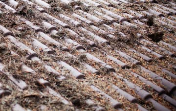 Gods Blessing Green roof cleaning companies