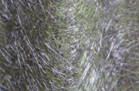 Gods Blessing Green fibreglass roof work